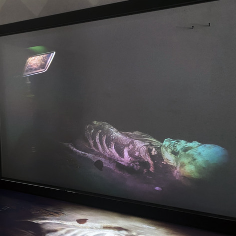 Wunderkammern - Pride (detail)