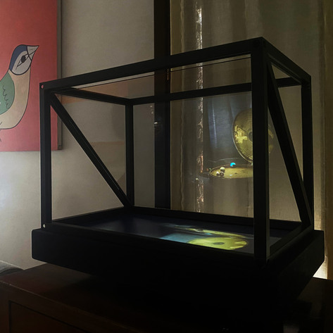 Wunderkammern - Greed (detail)