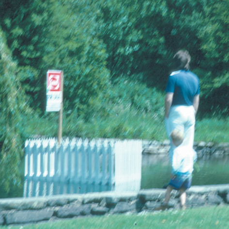 Visitors to property